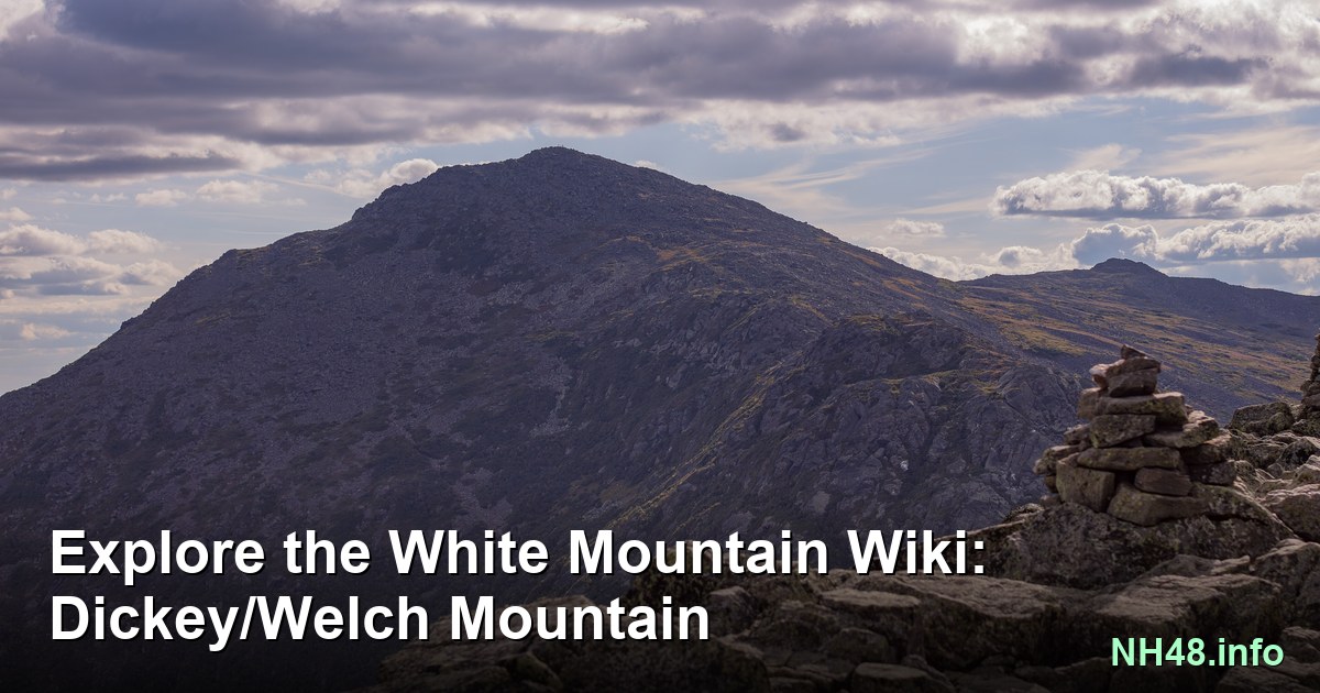 Dickey/Welch Mountain view